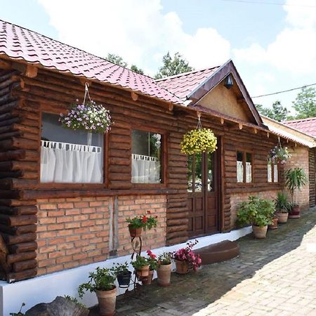 Panorama Lomnica Panzió Despotovac Kültér fotó