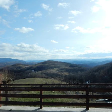 Panorama Lomnica Panzió Despotovac Kültér fotó