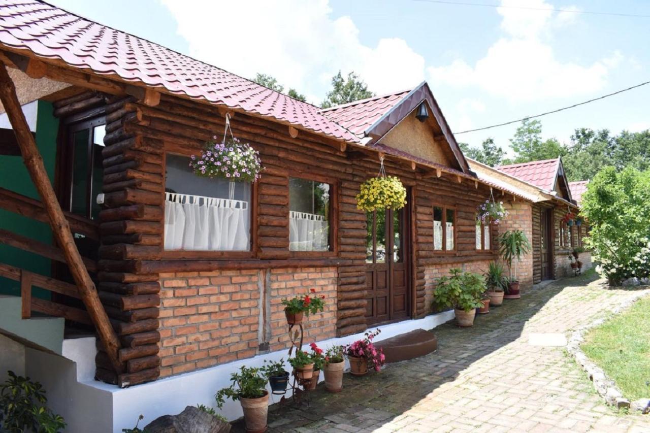 Panorama Lomnica Panzió Despotovac Kültér fotó