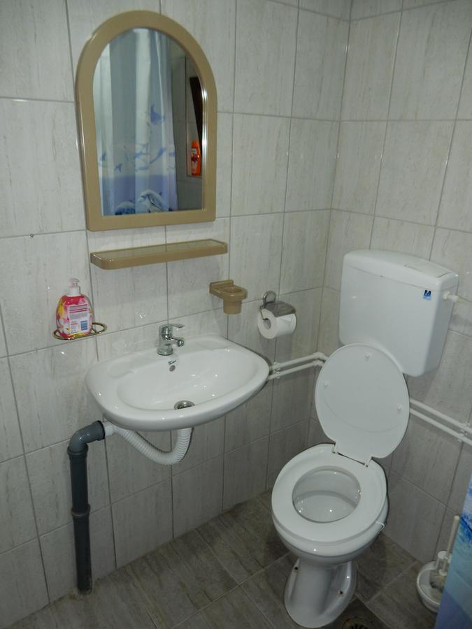Panorama Lomnica Panzió Despotovac Kültér fotó