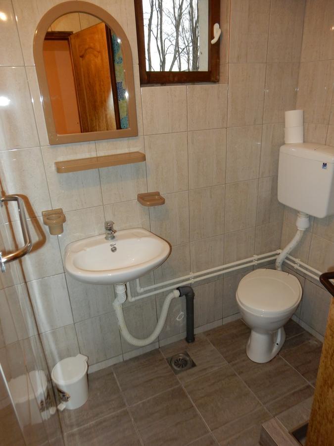 Panorama Lomnica Panzió Despotovac Kültér fotó