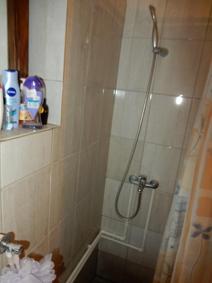 Panorama Lomnica Panzió Despotovac Kültér fotó