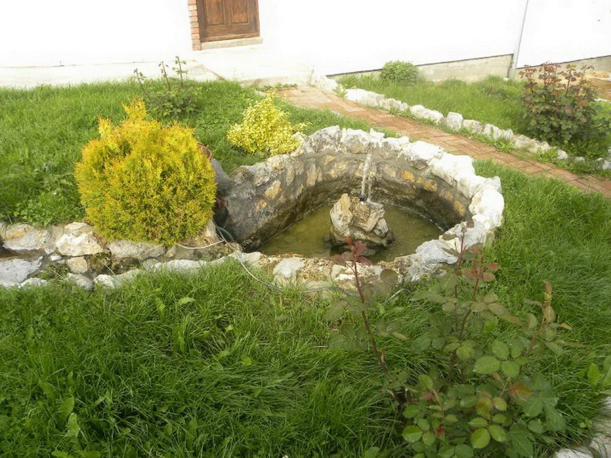 Panorama Lomnica Panzió Despotovac Kültér fotó