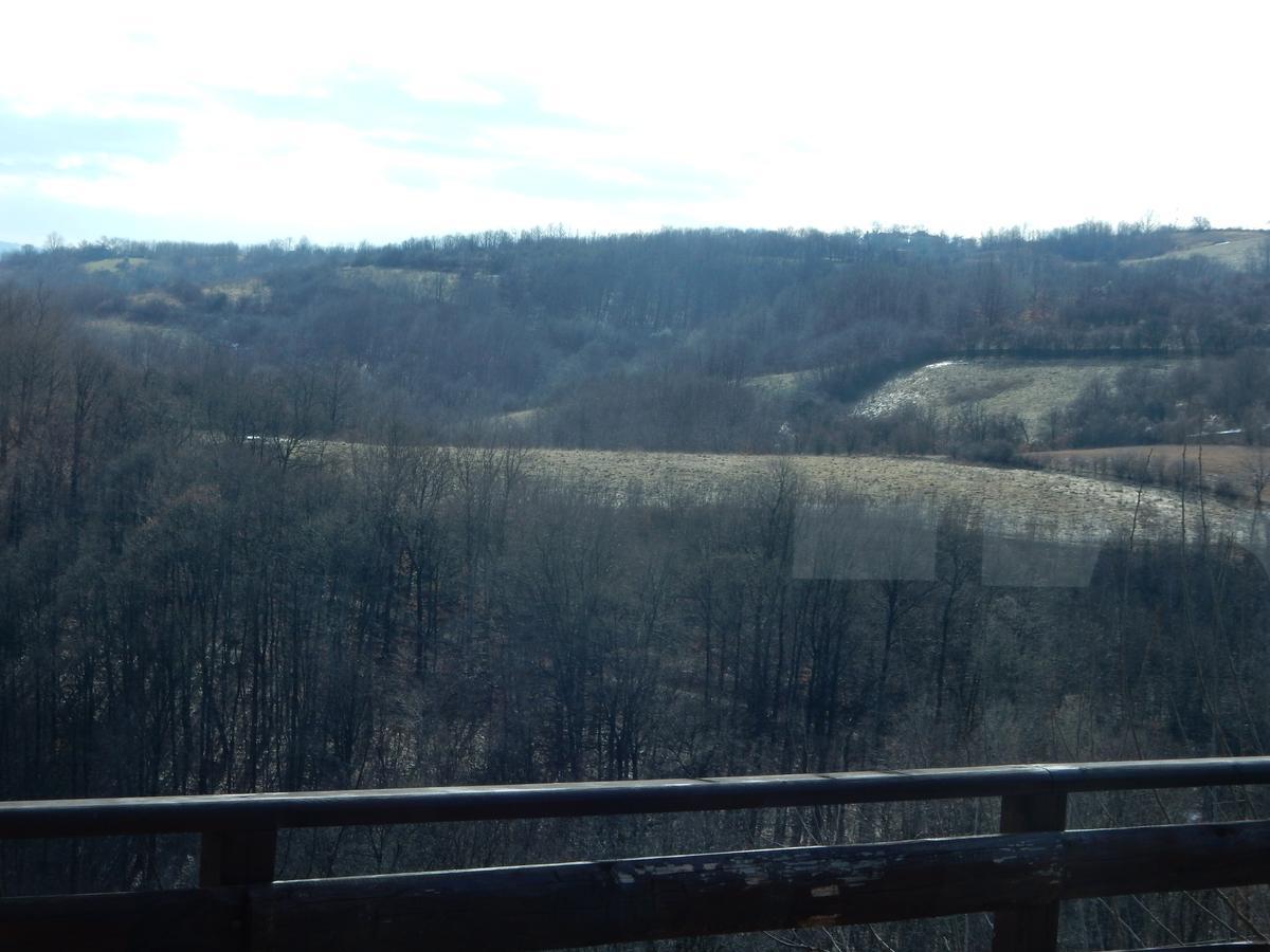 Panorama Lomnica Panzió Despotovac Kültér fotó