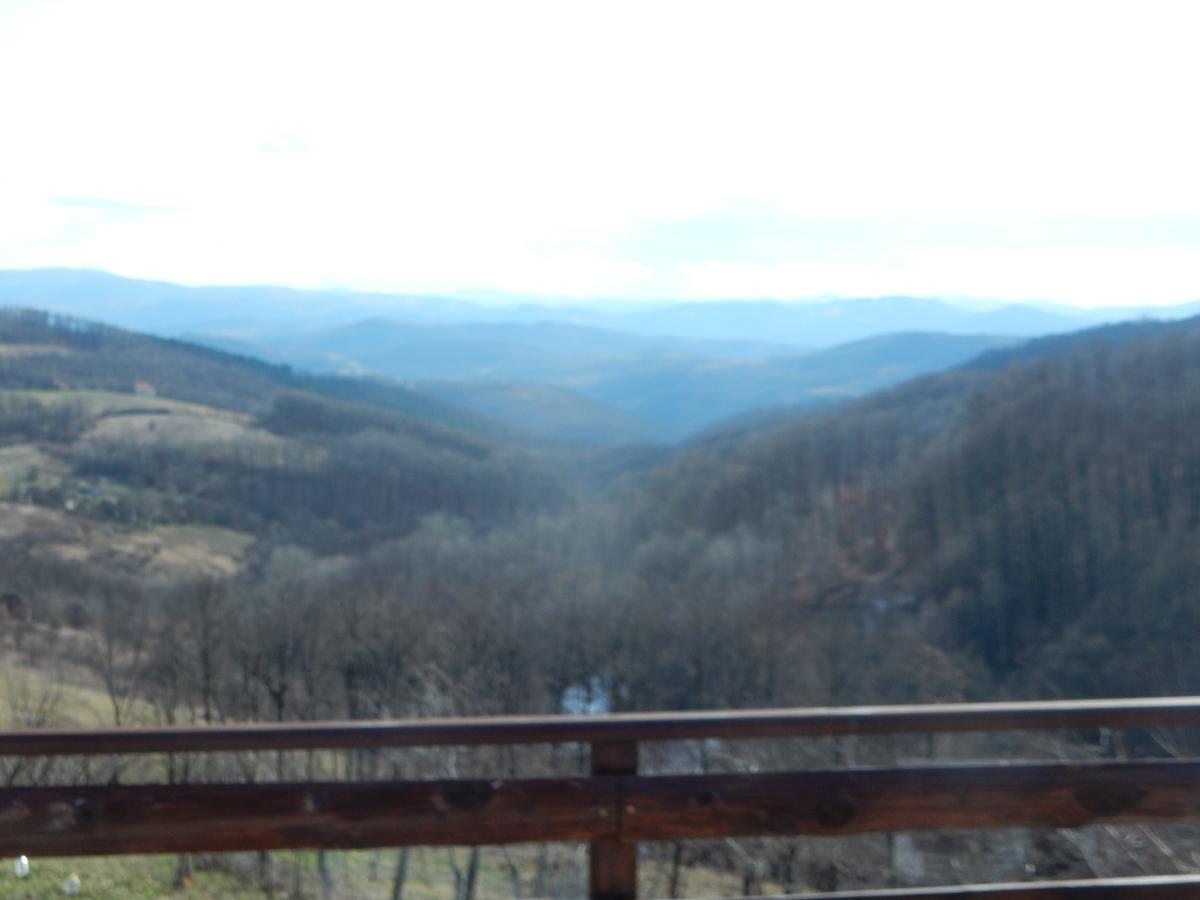 Panorama Lomnica Panzió Despotovac Kültér fotó